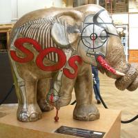 Esculturas de una campaña para ayudar a los elefantes