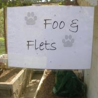 Sus gatos Foo y Flets