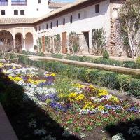 Inner garden