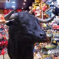 Stuffed bull in a souvenir's store